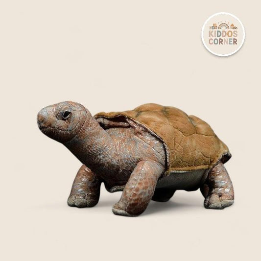 Galapagos Tortoise Soft Stuffed Plush Toy